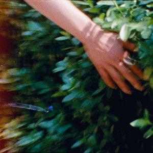 Portada de Sencillo/EP "Your Shape", de Kwak Jin Eon