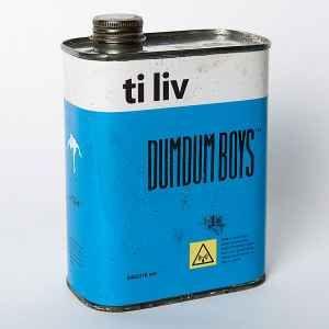 Portada de Álbum "Ti Liv", de DumDum Boys