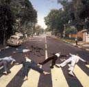 Portada de Álbum "Vinte E Um Anos Na Estrada", de Língua de Trapo