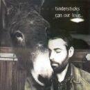 Capa do Álbum "Can Our Love ....", de Tindersticks