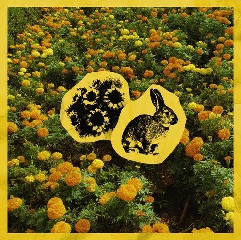 Capa do Single/EP "Pérez Ochoa (part. Flower)", de lorebunii