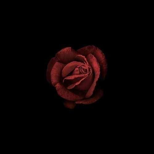 Capa do Álbum "Sonetos À Vênus", de Papi