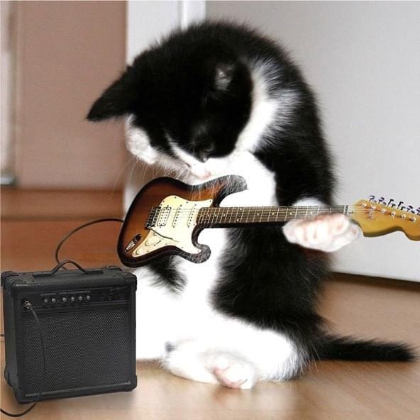 Portada de Sencillo/EP "Meu Gato Te Odeia", de Dri.mp3