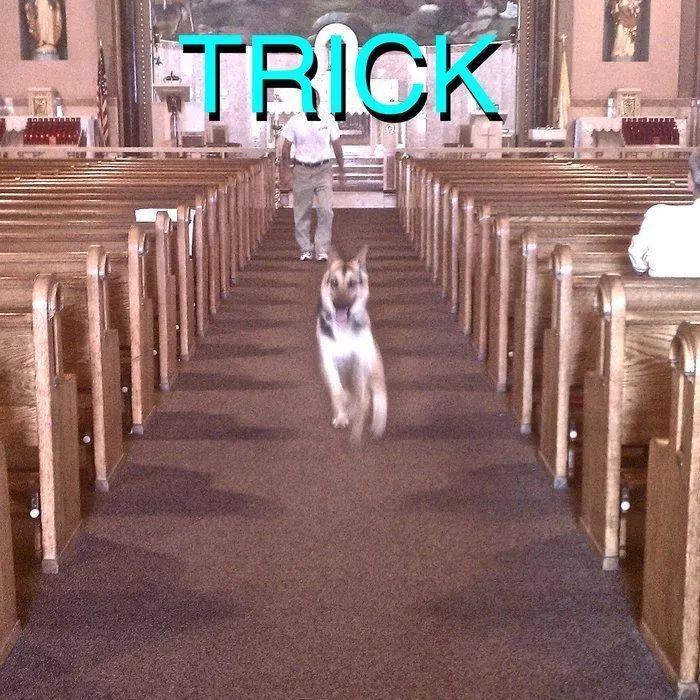 Capa do álbum "Trick", de Alex G