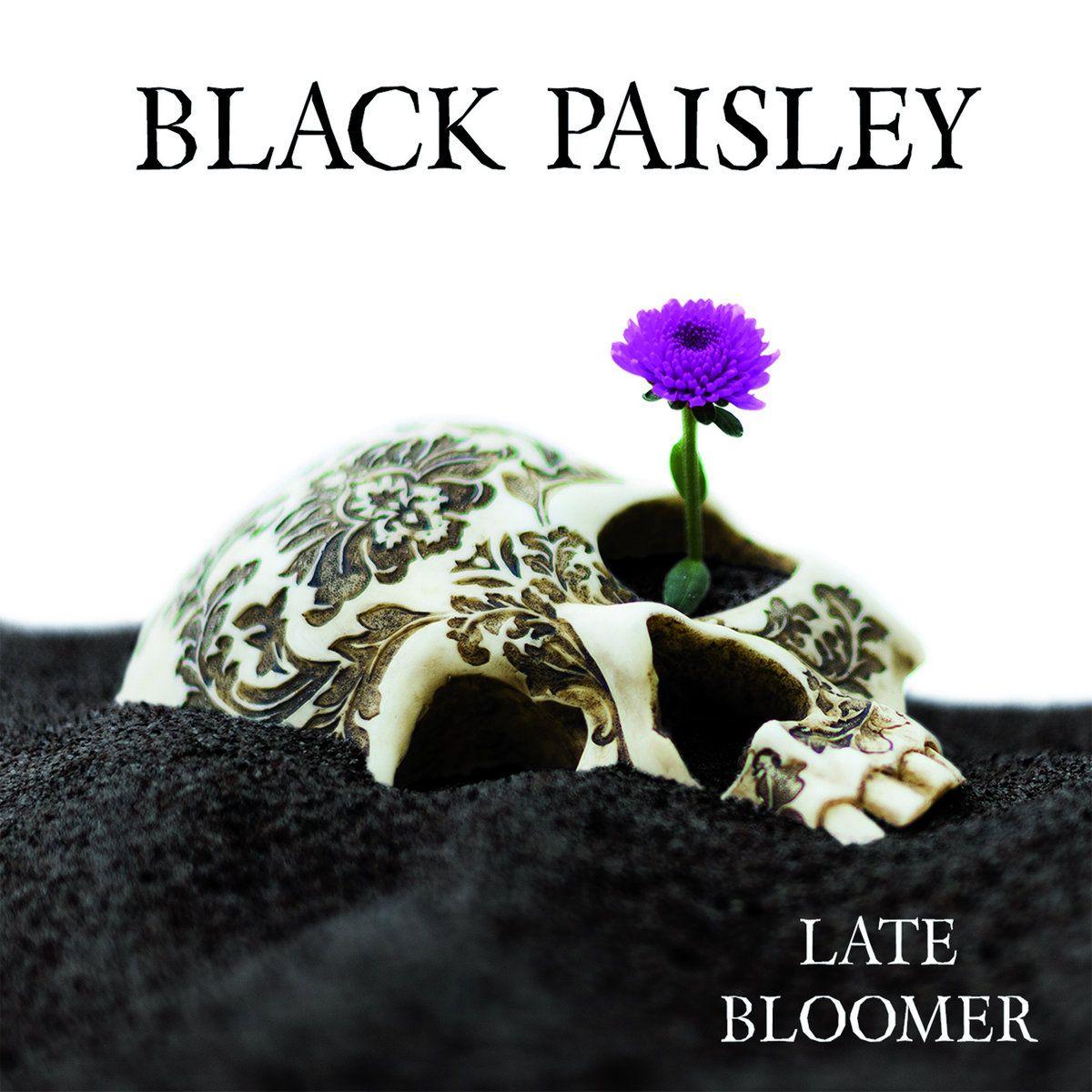 Portada de Álbum "Late Bloomer", de Black Paisley