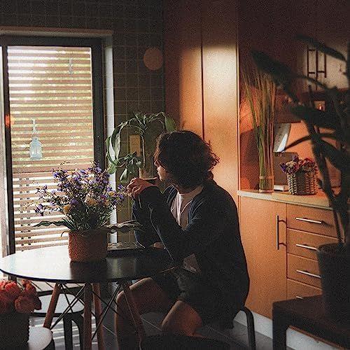 Portada de Álbum "a história do garoto invisível", de Asafe Vieira