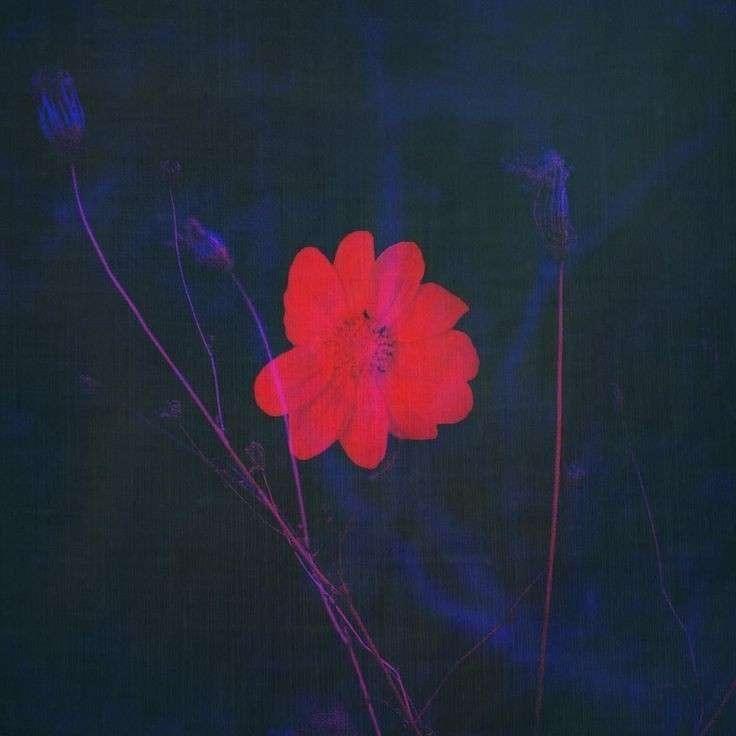 Portada del álbum "preciso dizer (agora)", de Fabbin
