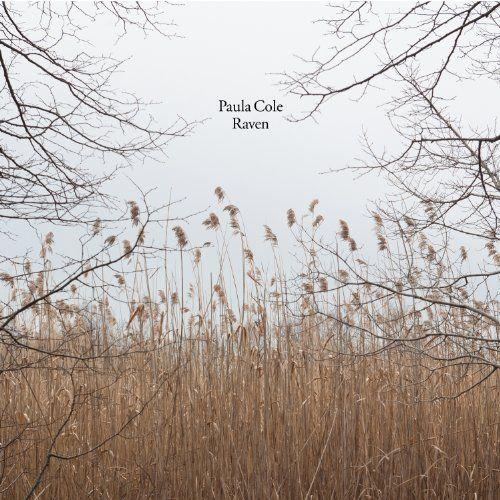 Portada de Álbum "Raven", de Paula Cole