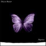 Album cover of "Papillon" by David Ballot