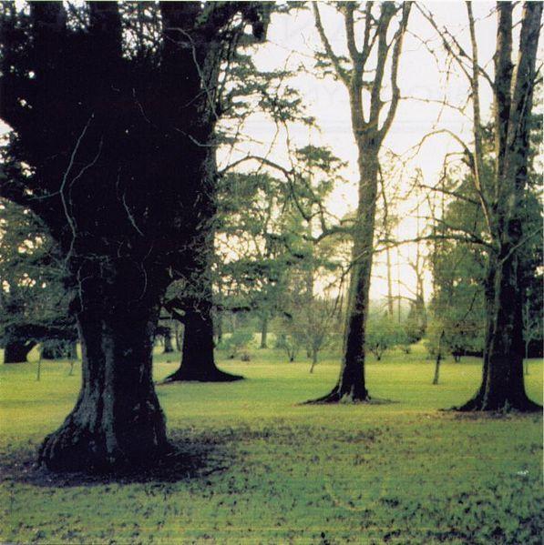 Capa do álbum "Brooklyn Wednesday", de Jandek