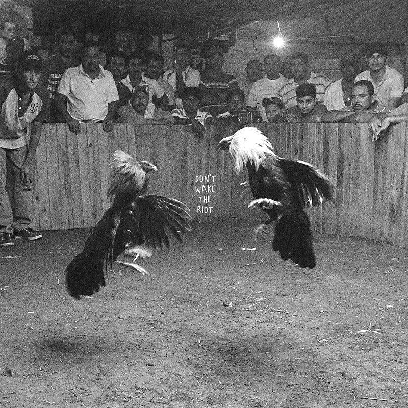 Capa do Álbum "Don't Wake the Riot", de Black Pistol Fire