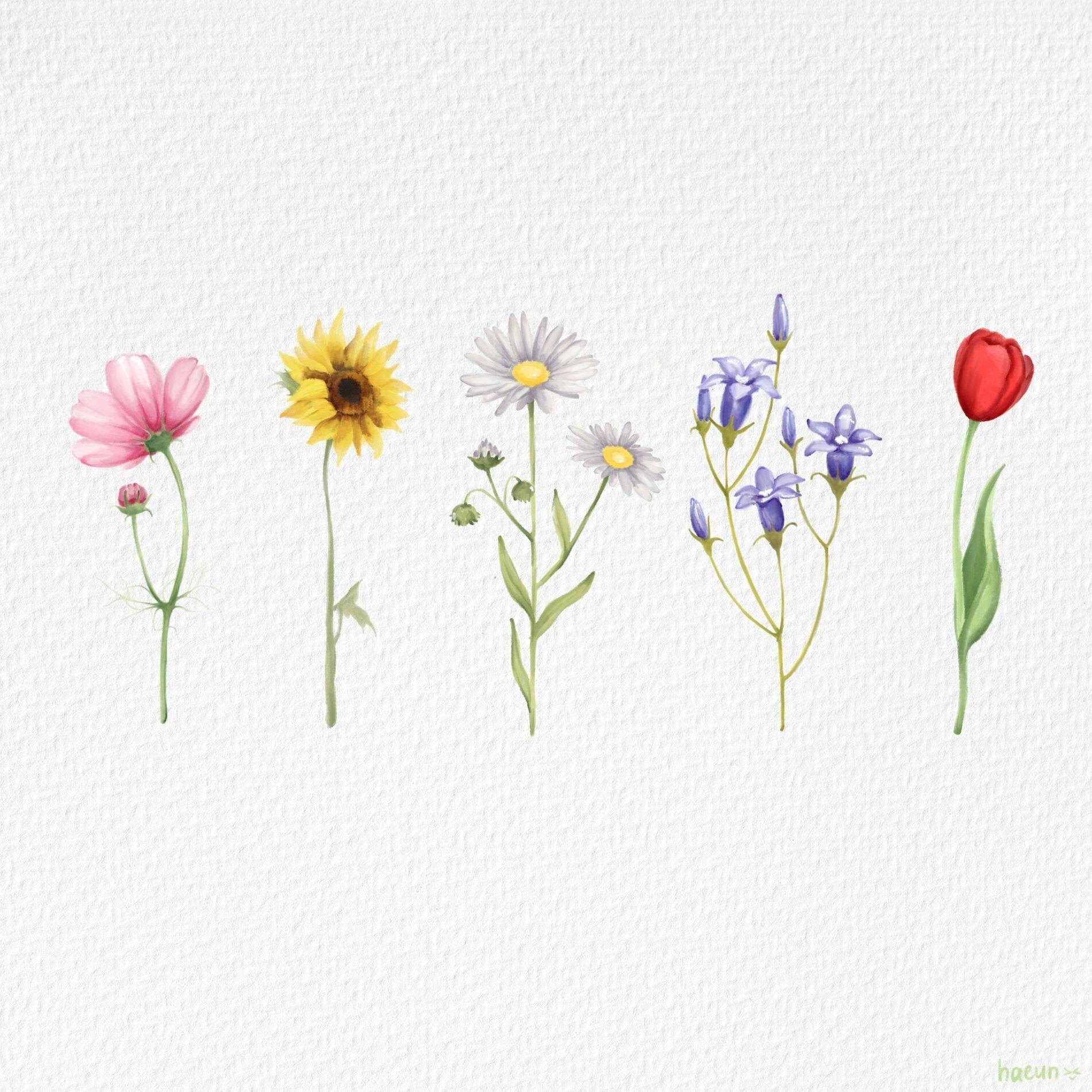 Portada de Sencillo/EP "wildflower", de yung kai