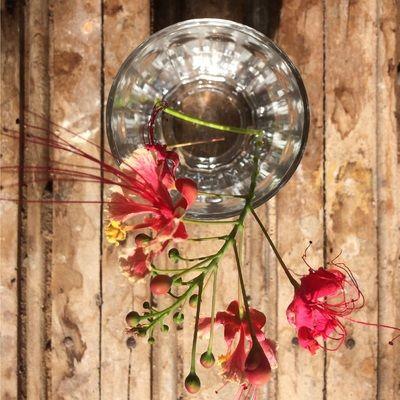 Portada de Álbum "New Age Funeral", de Antinous