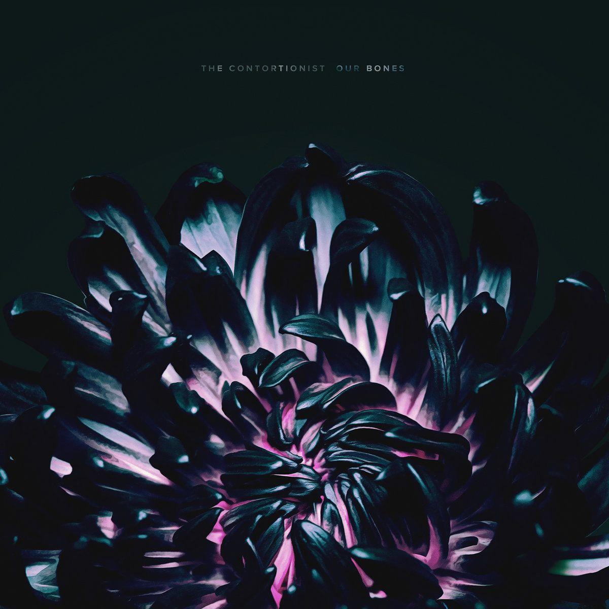 Portada de Sencillo/EP "Our Bones", de The Contortionist