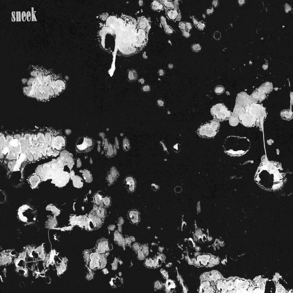 Portada de Sencillo/EP "sneek", de Terrace Martin