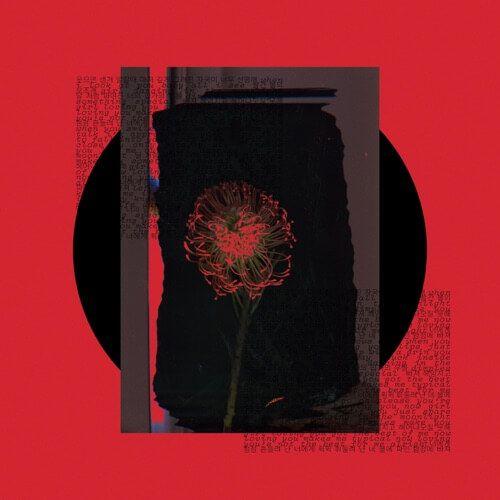 Portada de Sencillo/EP "Dimples", de WOOSUNG