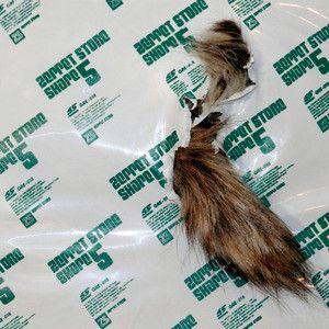 Portada de Álbum "Shape 5", de Zeppet Store