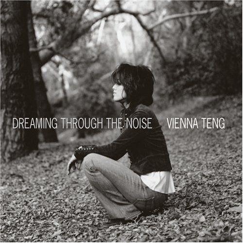 Capa do Álbum "Dreaming Through the Noise", de Vienna Teng