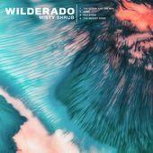 Portada de Sencillo/EP "Misty Shrub", de Wilderado