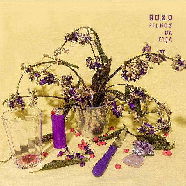 Portada de Álbum "Roxo", de Filhos da Ciça