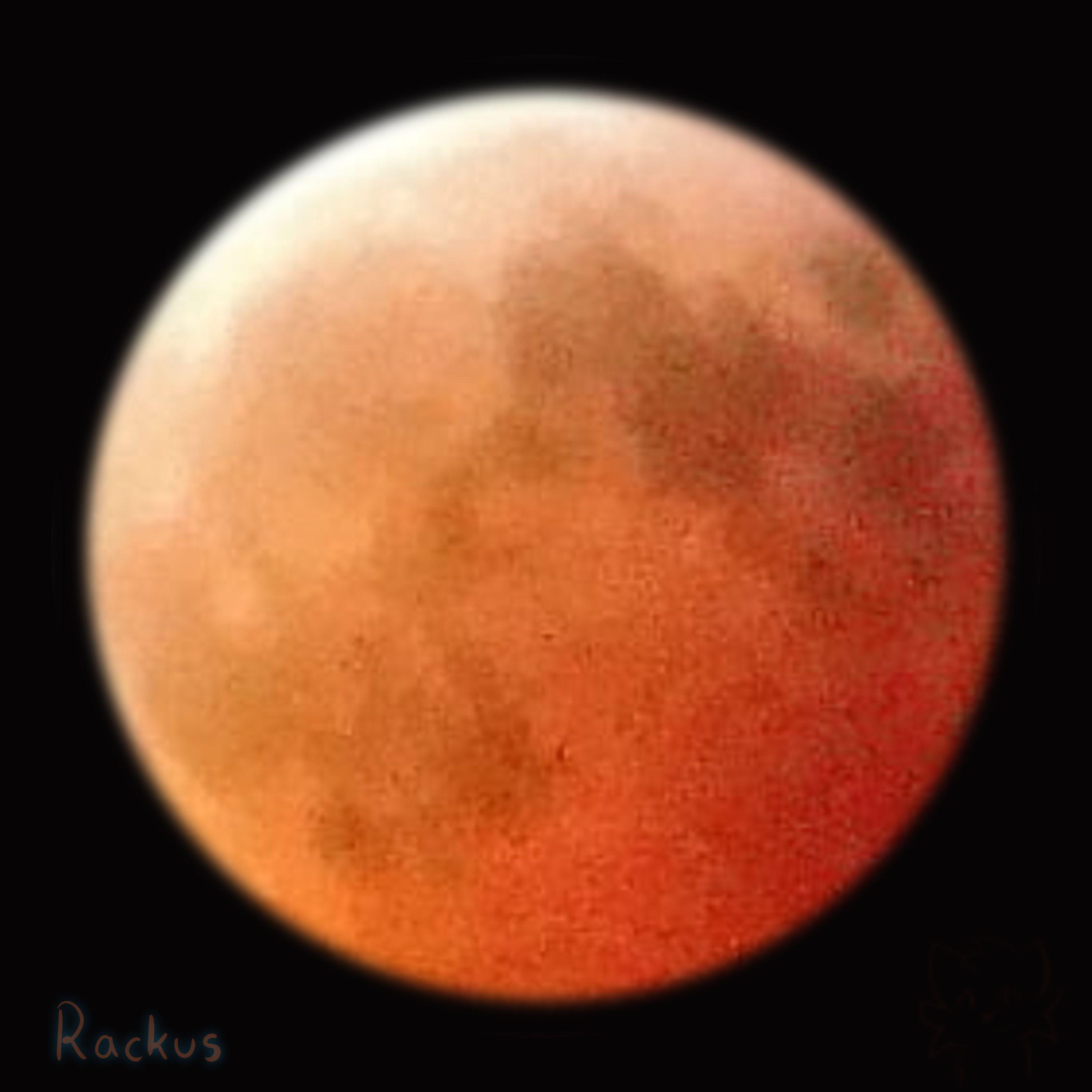 Portada de Sencillo/EP "Universe (feat. Ricky Contra)", de Rackus