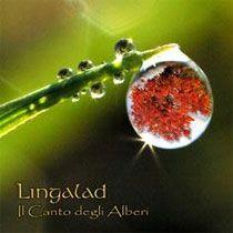 Capa do Álbum "Il Canto Degli Alberi", de Lingalad