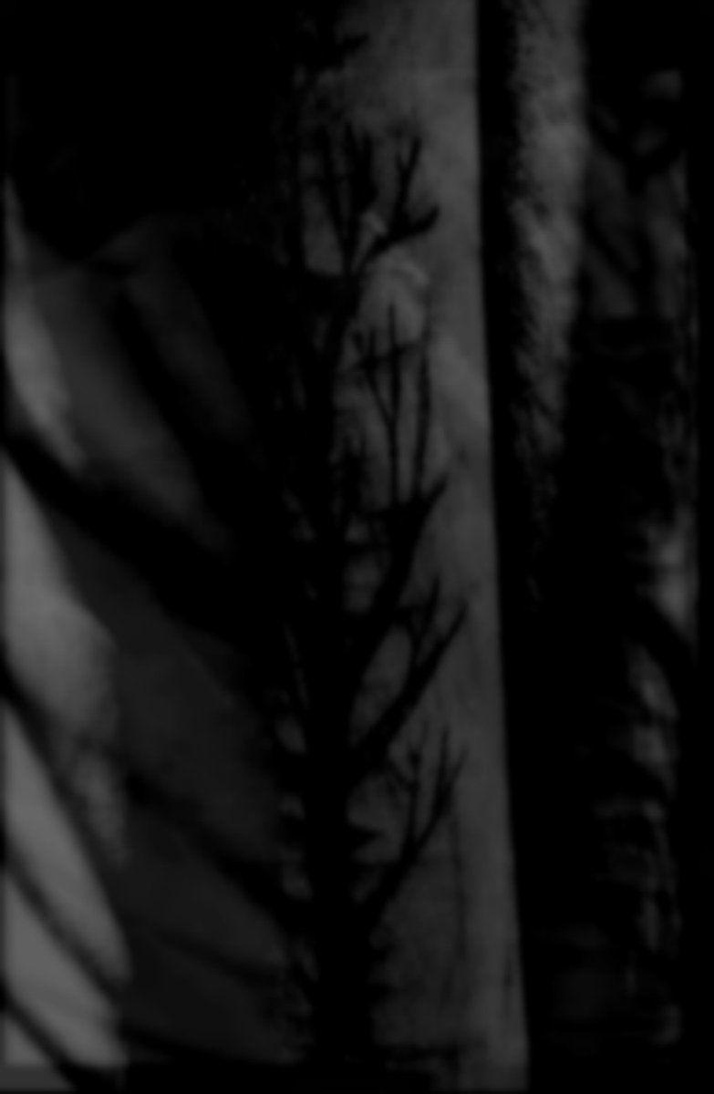 Portada de Sencillo/EP "with black branches.. scars and wounds, the painful memories...", de Left Alone... (Black Metal)