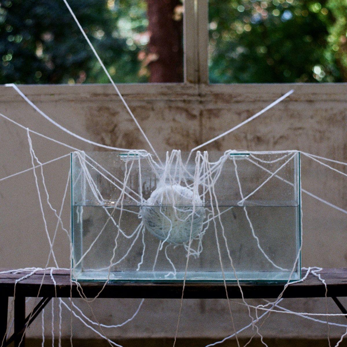 Capa do Single/EP "Puentes", de Fabricio Robles