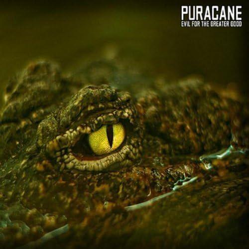 Portada de Álbum "Evil For The Greater Good", de Puracane