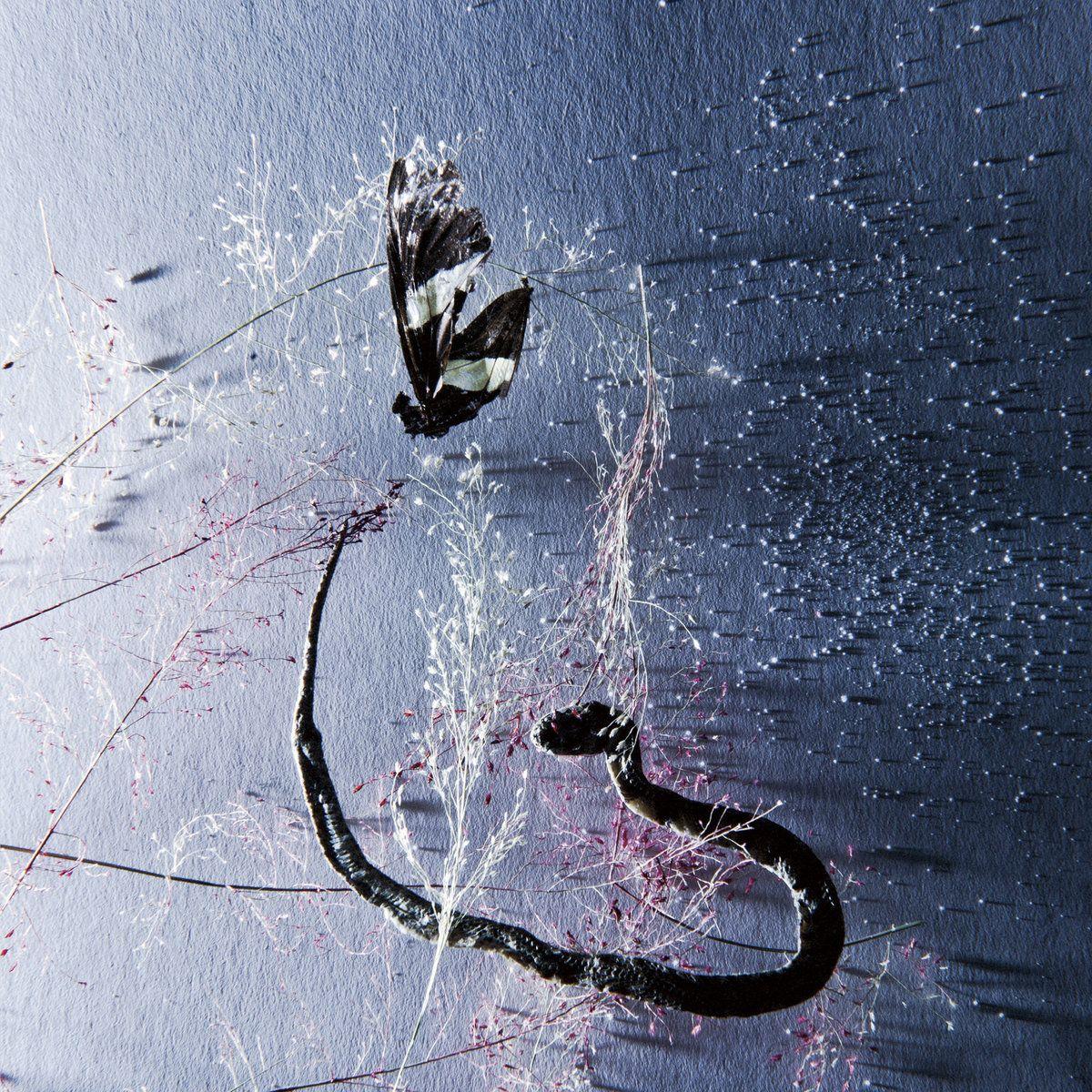 Capa do Álbum "III", de Rakta