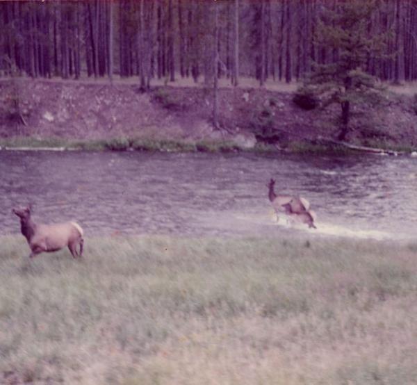 Capa do Álbum "Ghost", de Seahaven