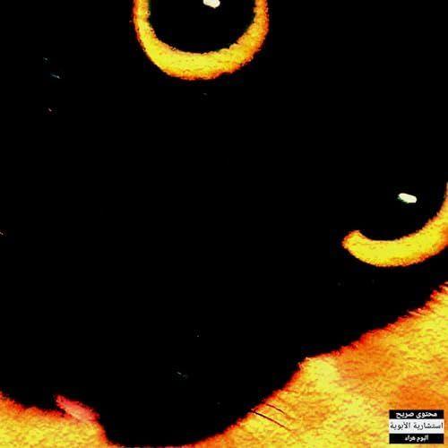 Capa do Álbum "Meu Gato Quer Me Matar", de naoeofer