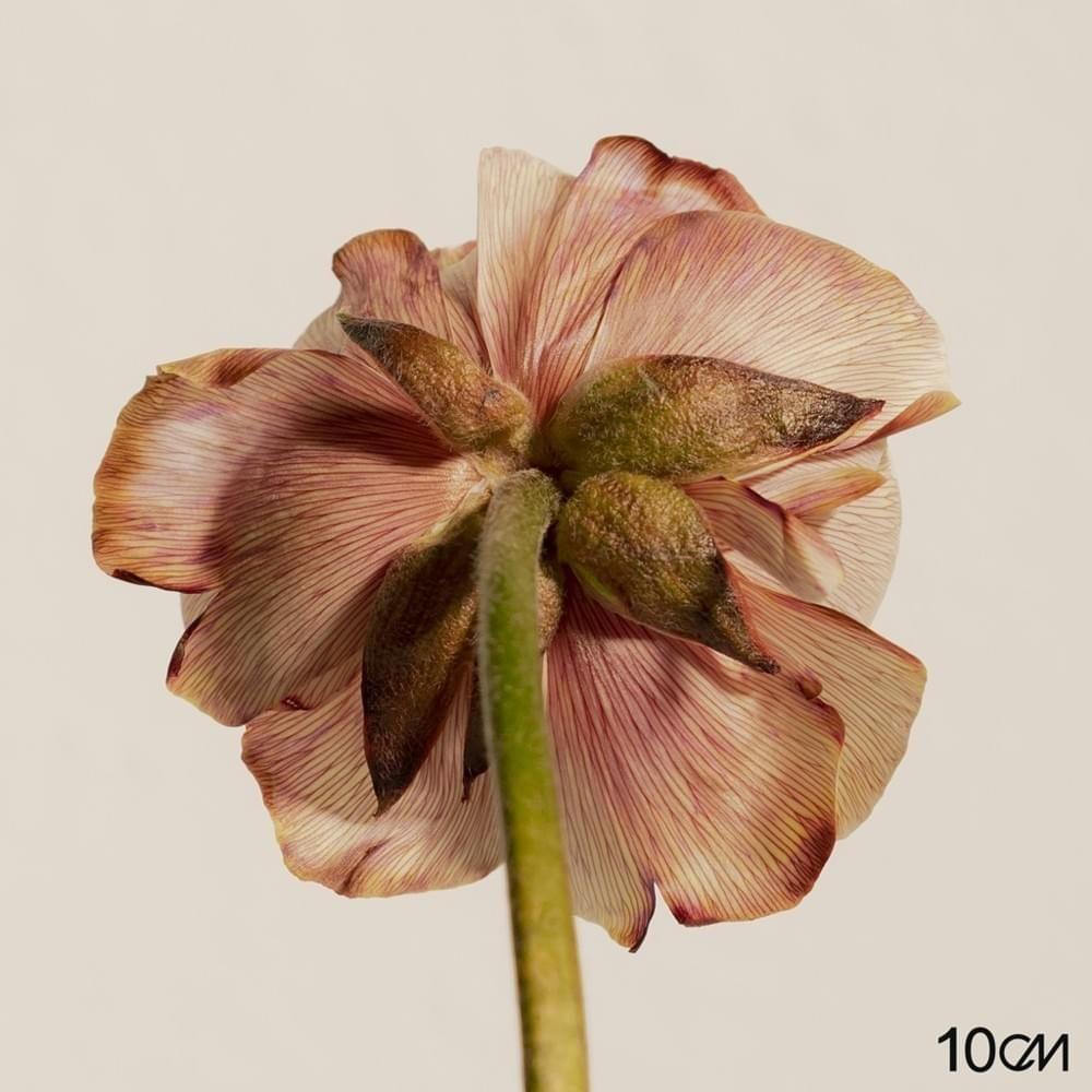 Capa do Single/EP "4.3", de 10CM