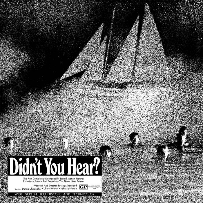 Capa do Álbum "Didn’t You Hear?", de Mort Garson