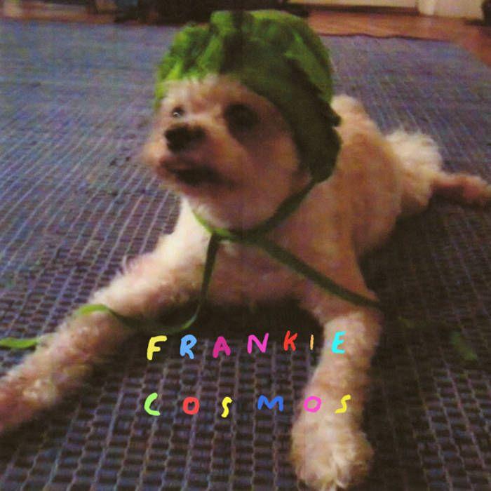 Portada de Álbum "Zentropy", de Frankie Cosmos