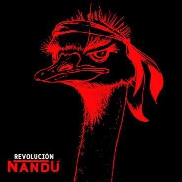 Portada de Álbum "Revolución Ñandú", de Revolución Ñandú