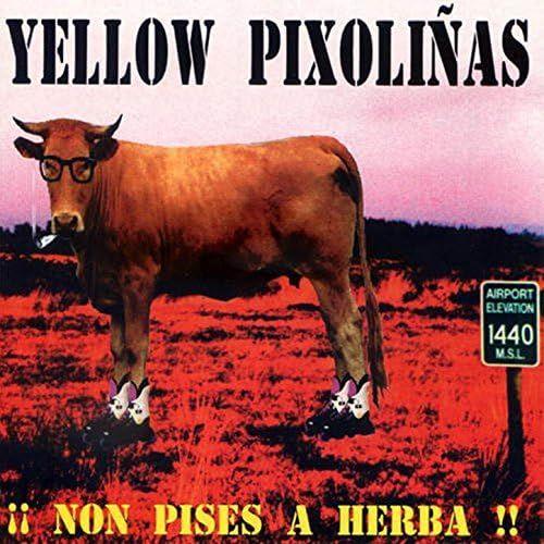 Portada de Álbum "¡¡ Non Pises a Herba !!!", de Yellow Pixoliñas