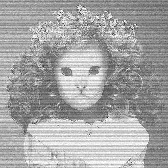 Capa do Álbum "Eternity", de Mr. Kitty