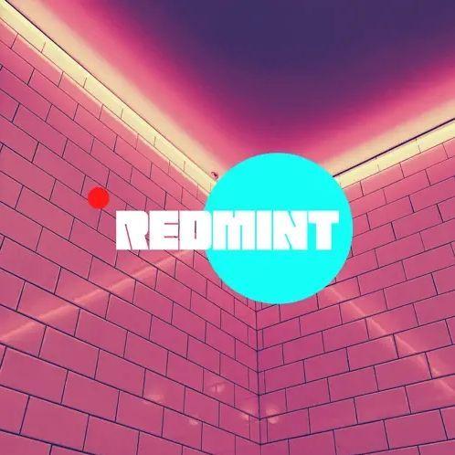 Portada de Sencillo/EP "M.I.N.T (Money Is Never a Thing)", de Redmint