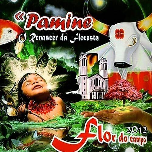 Capa do Álbum "Pamine - O Renascer da Floresta", de Boi Flor do Campo