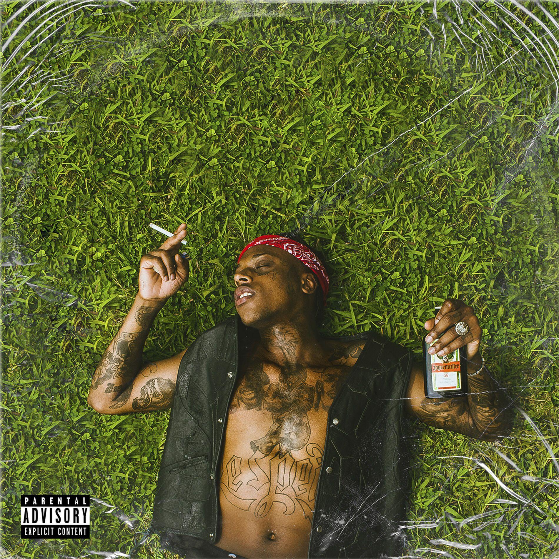 Capa do Álbum "Sou Rock N' Roll", de Dfideliz