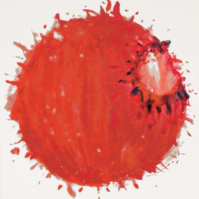 Capa do Álbum "I Often Stammer and Forget the Way to Sleep (난 자꾸 말을 더듬고 잠드는 법도 잊었네)", de THORNAPPLE