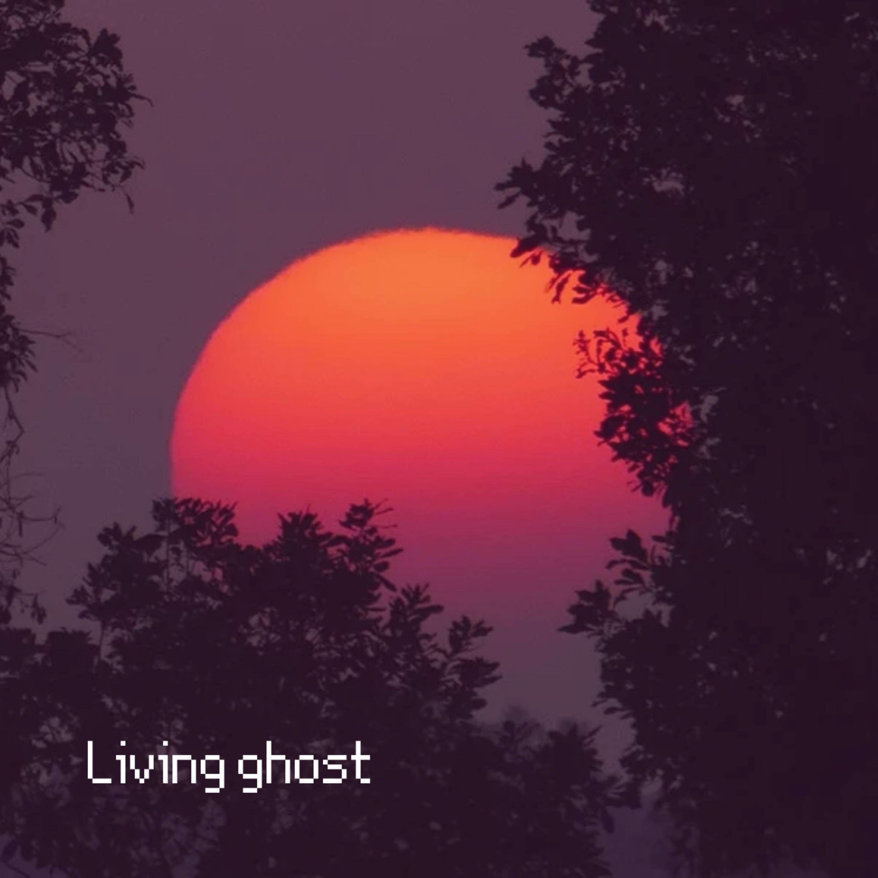 Portada de Sencillo/EP "Living Ghost", de Audrey Zayne