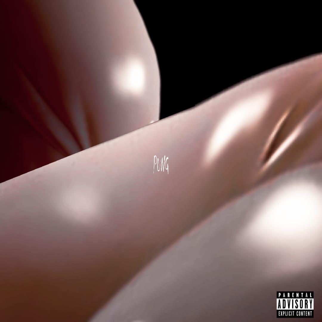 Album cover of "Pung" by Mira Eye Blooms