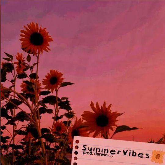 Portada de Álbum "Summer Vibes", de prod. darwin