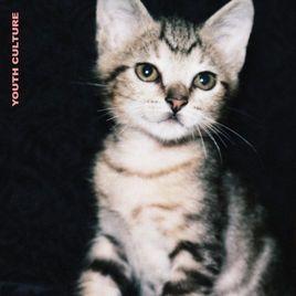 Capa do Álbum "Youth Culture", de Carmen