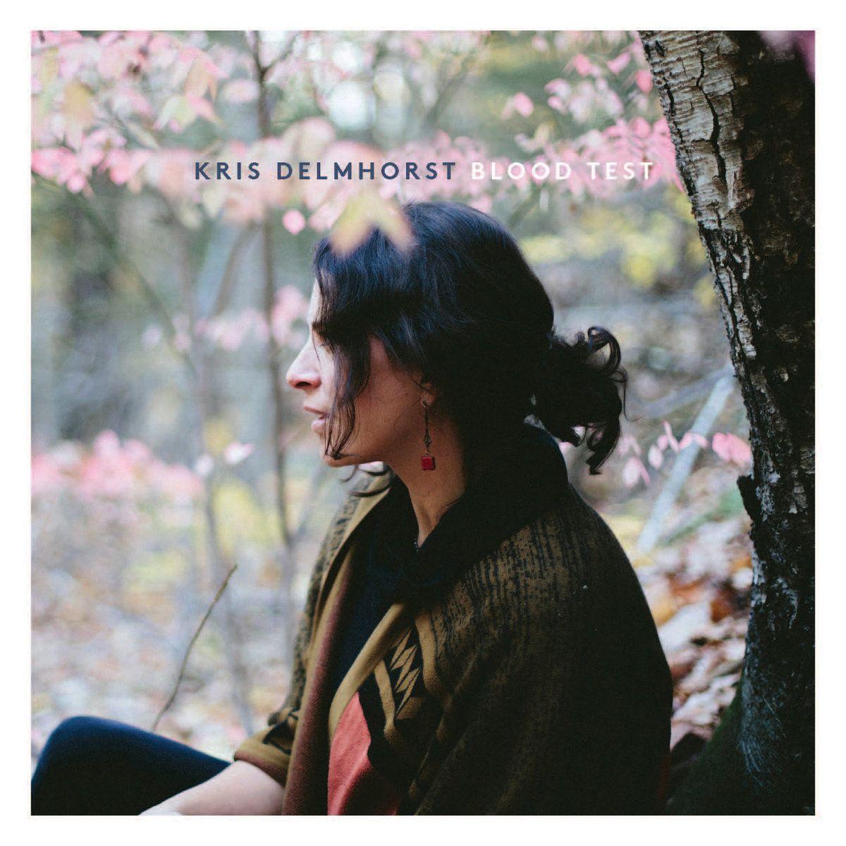 Album cover of "Blood Test" by Kris Delmhorst