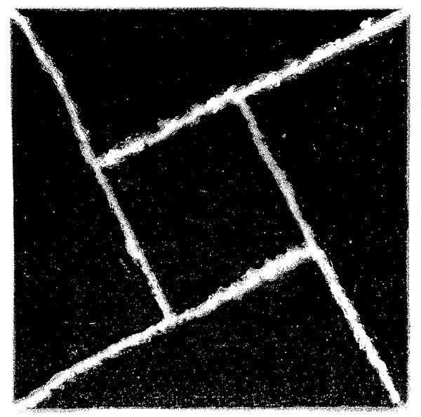 Portada de Álbum "Follow The Light ", de Molly Nilsson