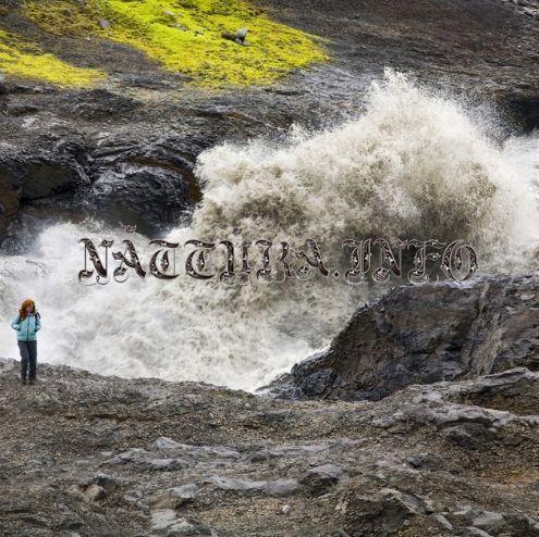 Capa do álbum "Náttúra", de Björk