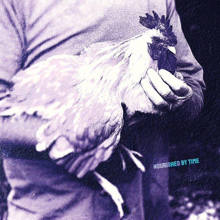 Capa do Single/EP "Catching Chickens EP", de Nourished by Time